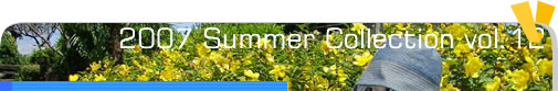 2007 Summer vol.12