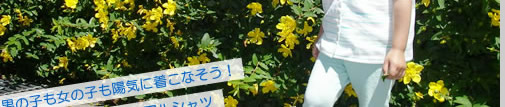 2007 Summer vol.12